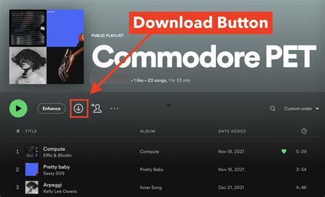 How to Download Music from Spotify to Computer: A Detailed Guide with Multiple Perspectives